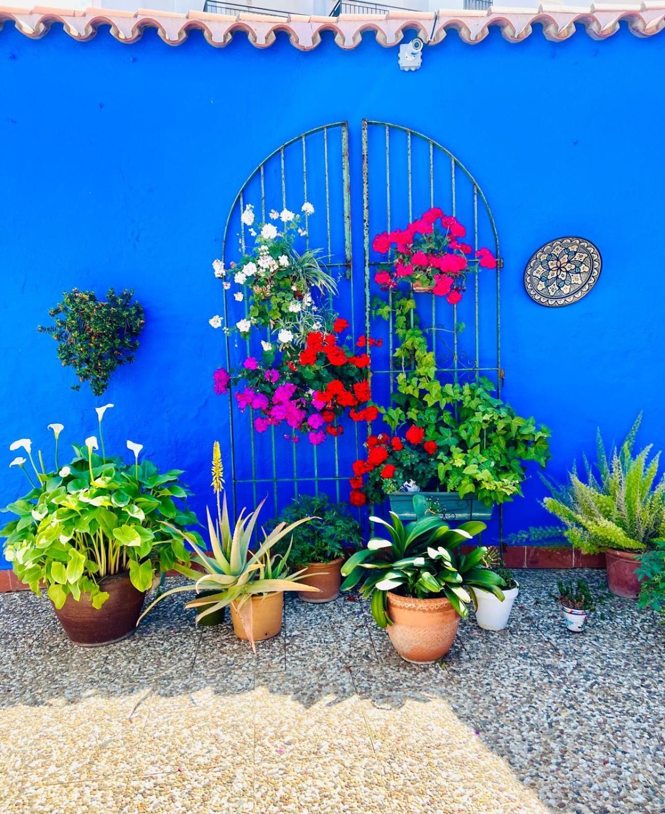 Hostal El Faro Chipiona Exteriér fotografie